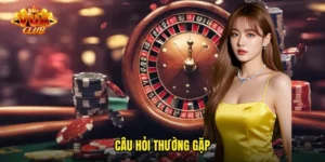 Câu hỏi thường gặp